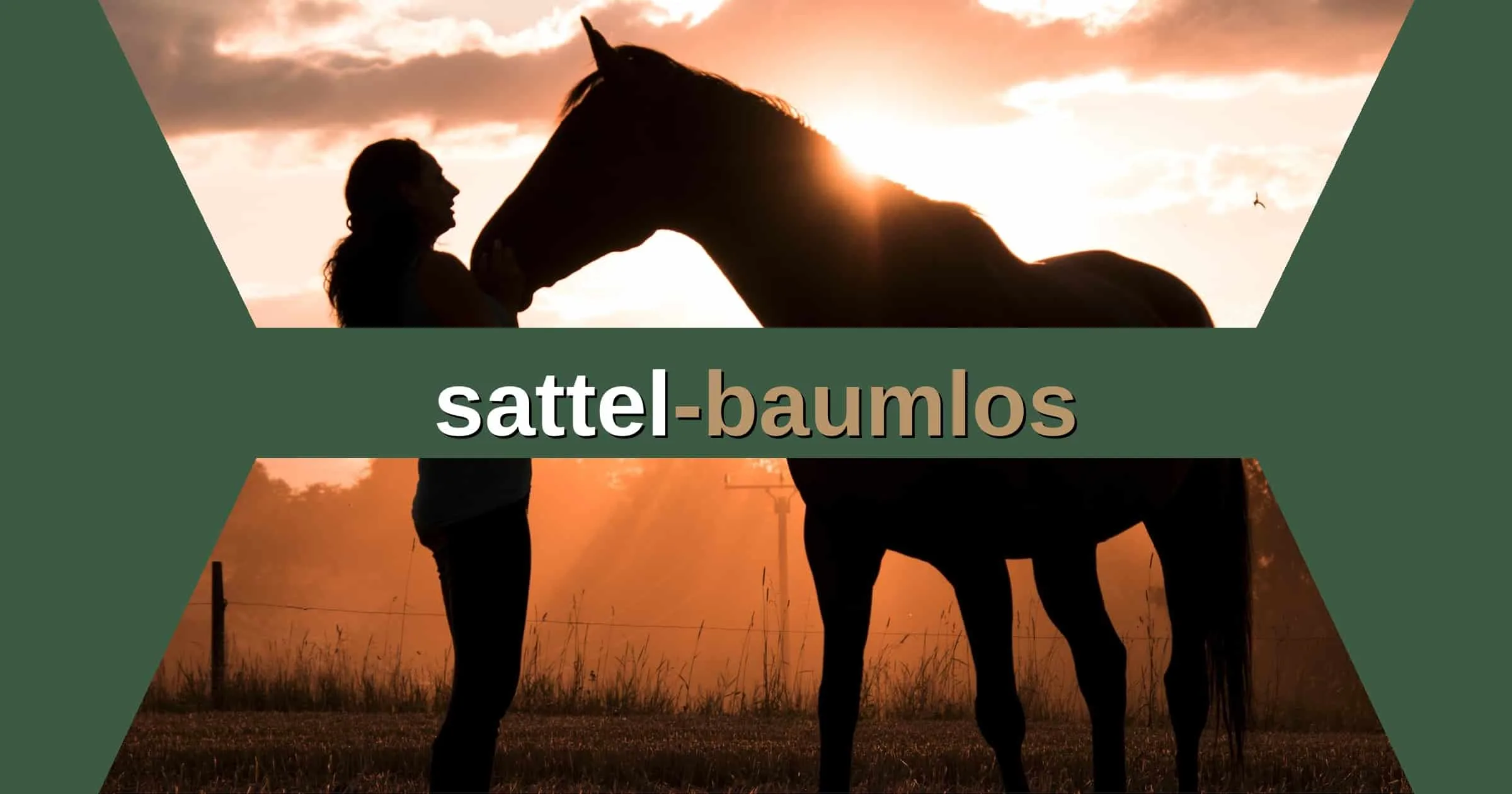 Freeform Sattel auf Pferd – sattel-baumlos