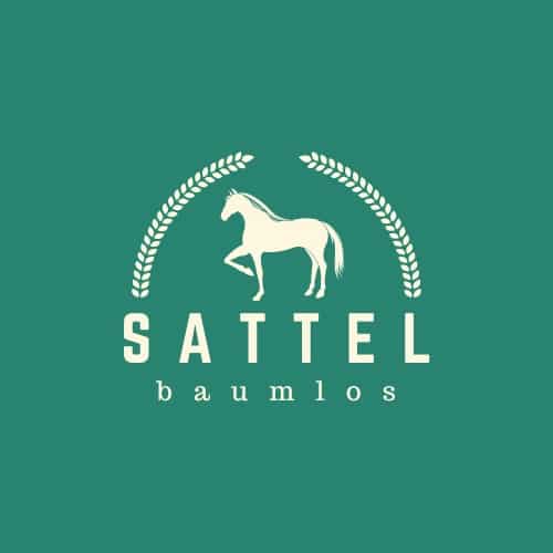 sattel-baumlos - für den gesunden Pferderücken und Reiterglück