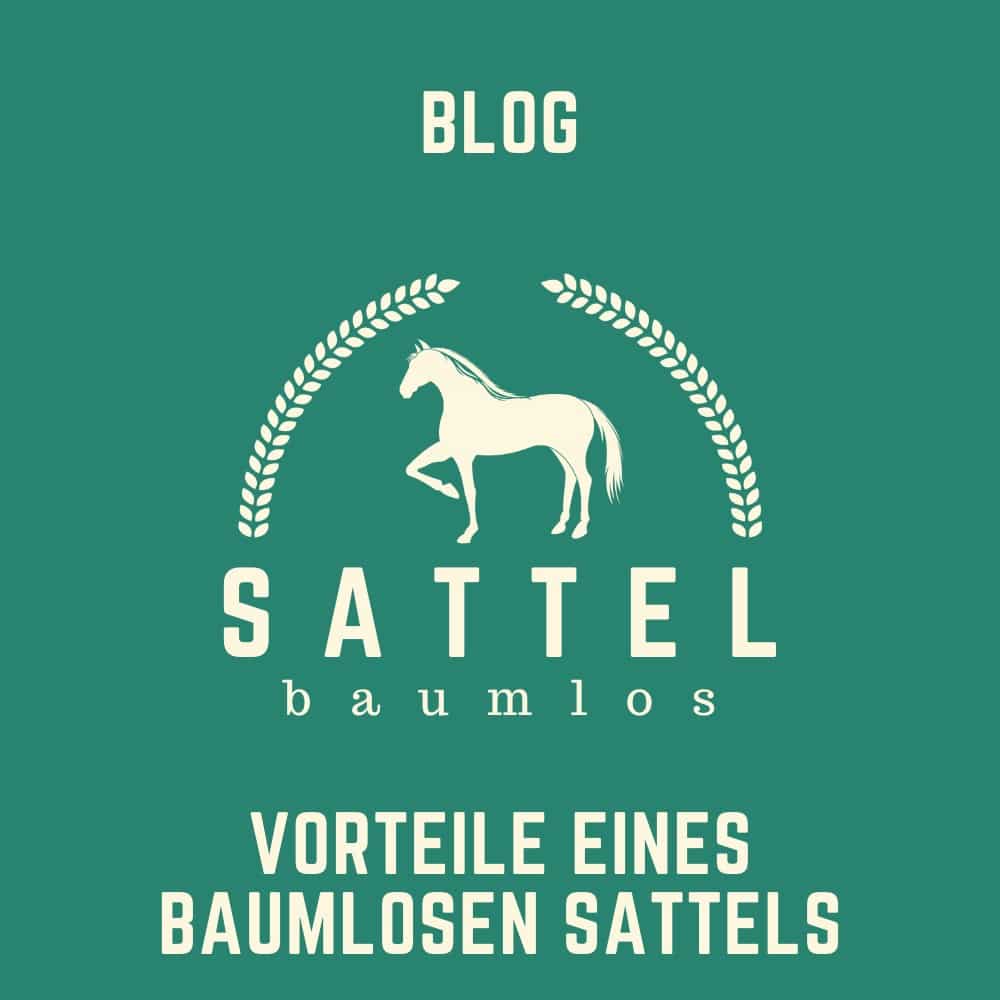 Sattel-baumlos-Pferde-BLOG- Vorteile eines baumlosen sattels