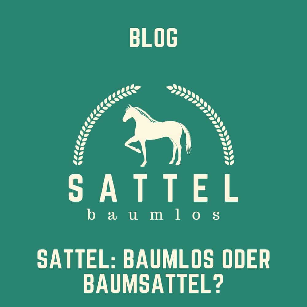 Sattel-baumlos-Pferde-BLOG- sattel baumlos oder baumsattel
