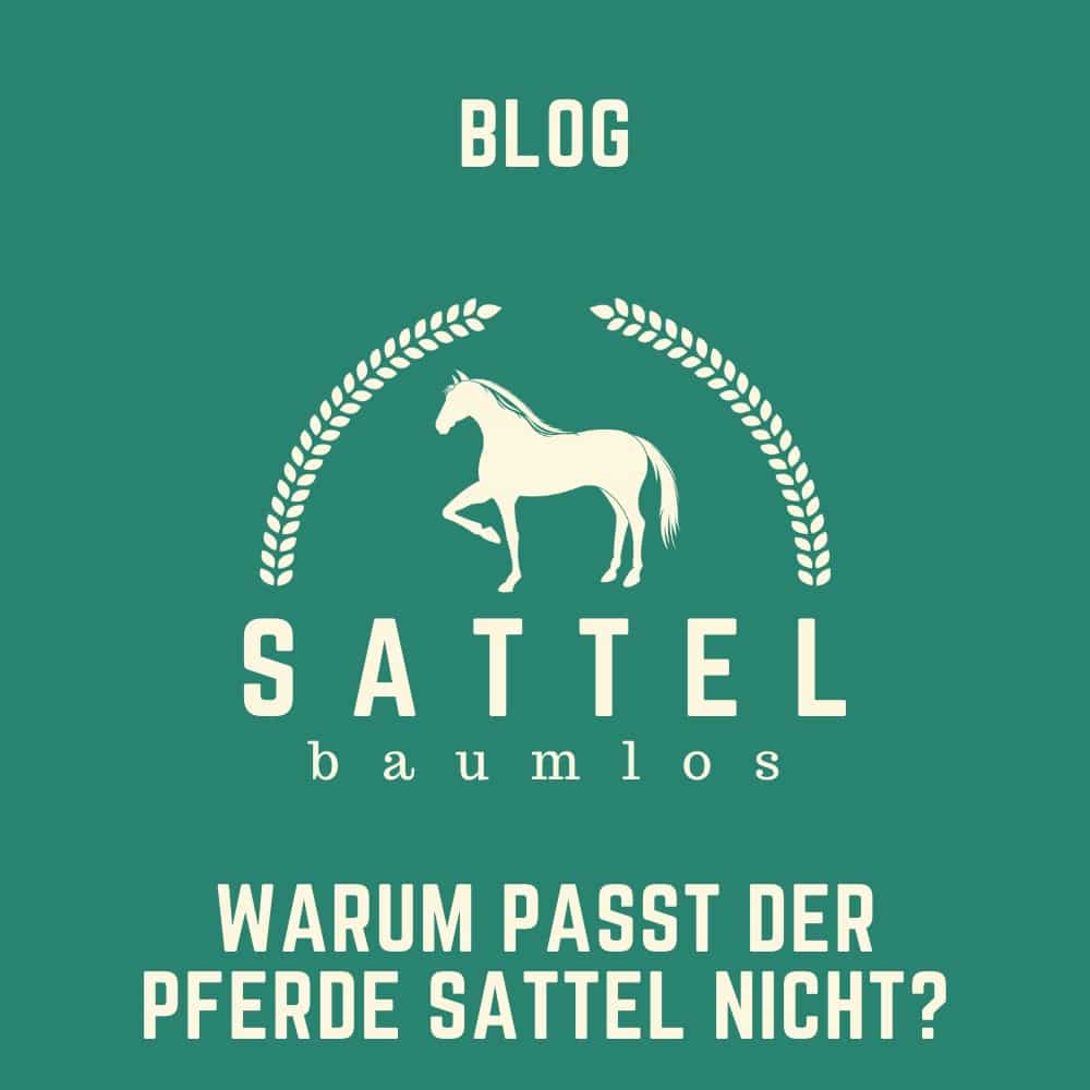 Sattel-baumlos-Pferde-BLOG- warum passt der pferde sattel nicht