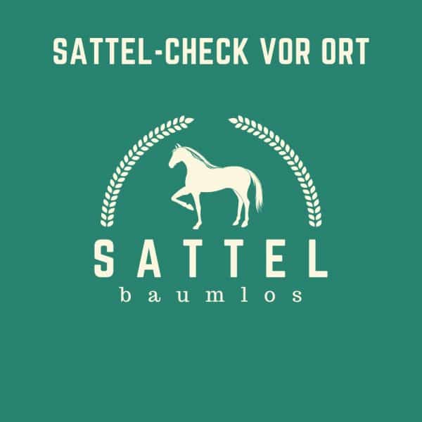 Sattel-baumlos-Pferde-erstberatung online