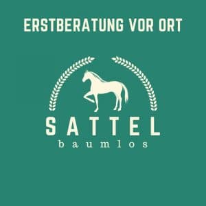 Sattel-baumlos-Pferde-erstberatung vor Ort Dienstleistung