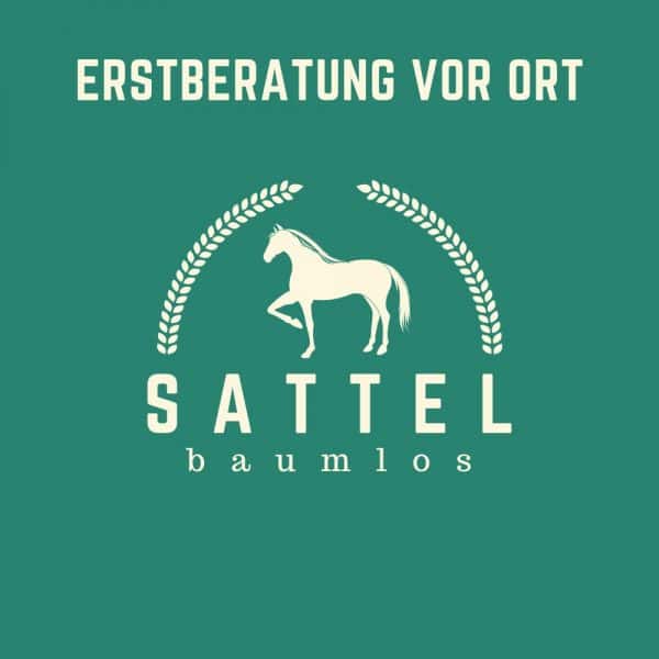 Sattel-baumlos-Pferde-erstberatung vor Ort Dienstleistung