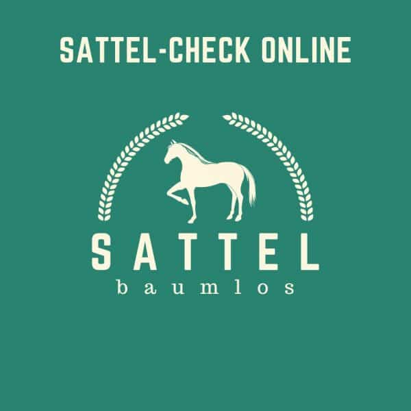 Sattel-baumlos-Pferde-sattel-check online