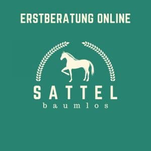 Sattel-baumlos-Pferde-sattel-check vor ort