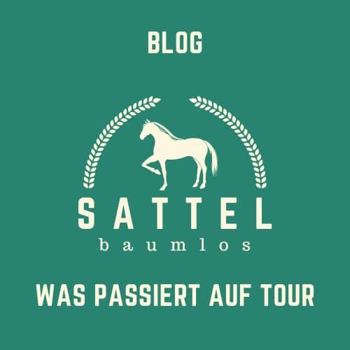 Sattel-baumlos-Pferde-BLOG- Was passiert auf Tour
